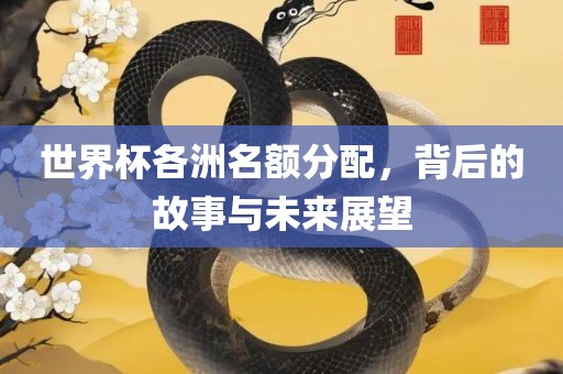 世界杯各洲名额分配，背后的故事与未来展望漯河市盈旭机械设备有限公司