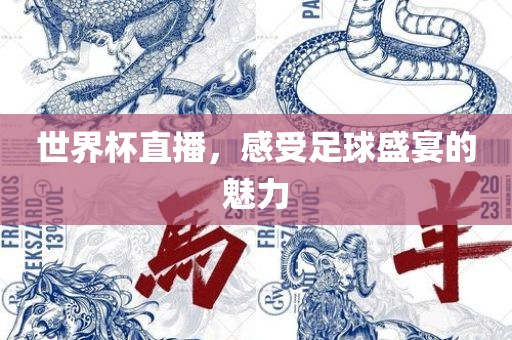 世界杯直播漯河市盈旭机械设备有限公司，感受足球盛宴的魅力