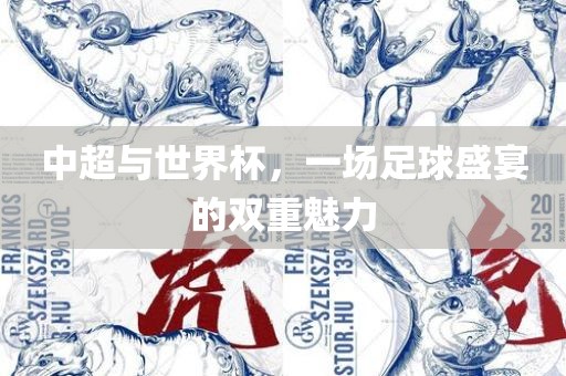 中超与世界杯，一场足球盛宴的双重魅力漯河市盈旭机械设备有限公司