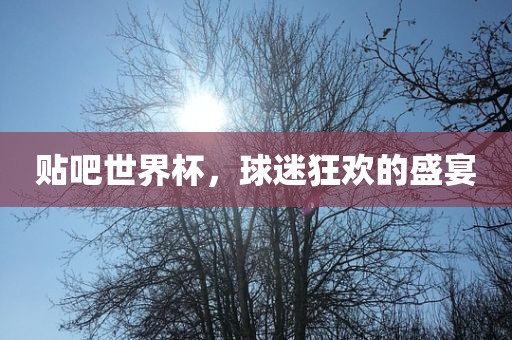 贴吧世界杯，球迷狂欢的盛宴