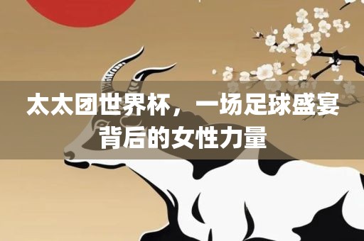 太太团世界杯，一场足球盛宴背后的女漯河市盈旭机械设备有限公司性力量