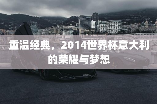 重温经典，2014世界杯意大利的荣耀与梦想漯河市盈旭机械设备有限公司