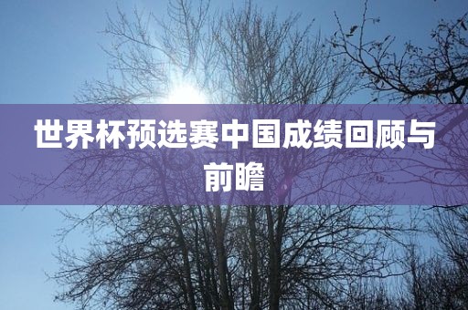 世界杯预选赛中国成绩回顾与前瞻漯河市盈旭机械设备有限公司