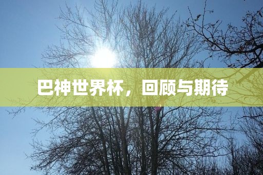 巴神世界杯，回顾与期待