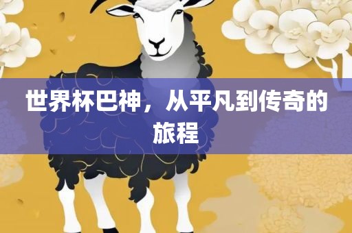 世界杯巴神，从平凡到传奇的旅程漯河市盈旭机械设备有限公司