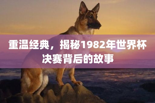 重温经典，揭秘1982年世界杯决赛背后的故事漯河市盈旭机械设备有限公司