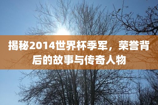 揭秘2014世界杯季军，荣誉背后的故事与传奇人物漯河市盈旭机械设备有限公司