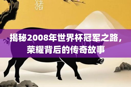 揭秘2008年世界杯冠军之路，荣耀背后的传奇故事漯河市盈旭机械设备有限公司