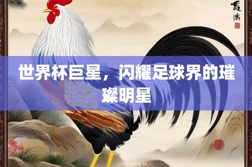 世界杯巨星，闪耀足球界的璀璨明星