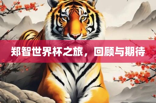 郑智世界杯之旅，回顾与期待