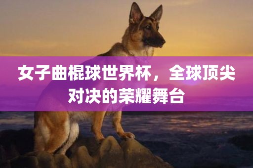女子曲棍球世界杯，全球顶尖对决的荣耀舞台漯河市盈旭机械设备有限公司