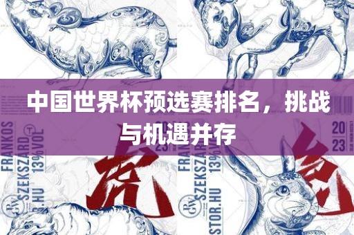 中国世界杯预选赛排名，挑战与机遇并存漯河市盈旭机械设备有限公司