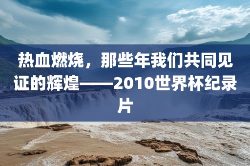 热血燃烧，那些年我们共同见证的辉煌——2010世界杯纪录片
