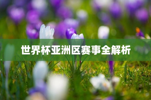 世界杯亚洲区赛事全解漯河市盈旭机械设备有限公司析