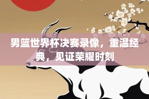 男篮世界杯决赛录像，重温经典，见证荣耀时刻漯河市盈旭机械设备有限公司