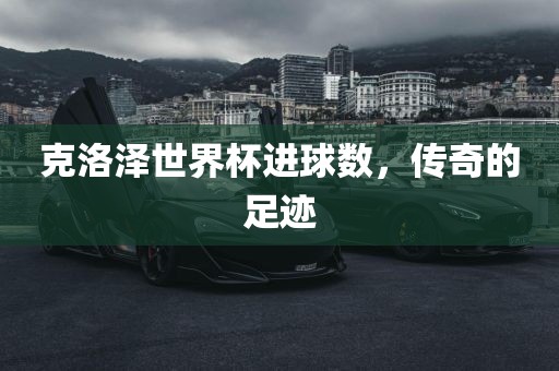克洛泽世界杯进球数，传奇的足迹漯河市盈旭机械设备有限公司