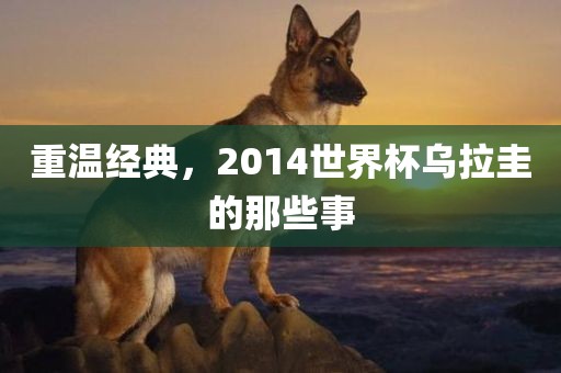 重温经典，2014世界杯乌拉圭的那些事漯河市盈旭机械设备有限公司