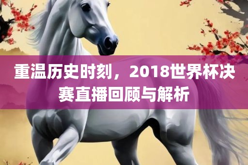 重温历史时刻，2018世界杯决赛直播回顾与解析漯河市盈旭机械设备有限公司