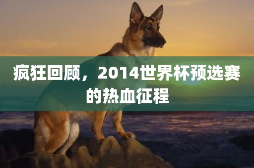 疯狂回顾，2014世界杯预选赛的热血征程漯河市盈旭机械设备有限公司