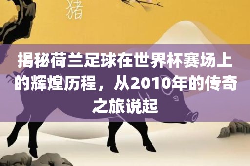 揭秘荷兰足球在世界杯赛场上的辉煌历程，从2010年的传奇之旅说起漯河市盈旭机械设备有限公司