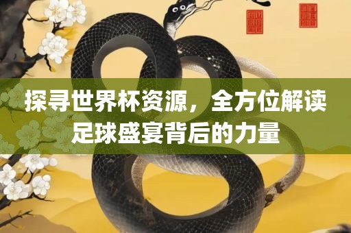 探寻世界杯资源，全方位解读足球盛宴背后的力量漯河市盈旭机械设备有限公司