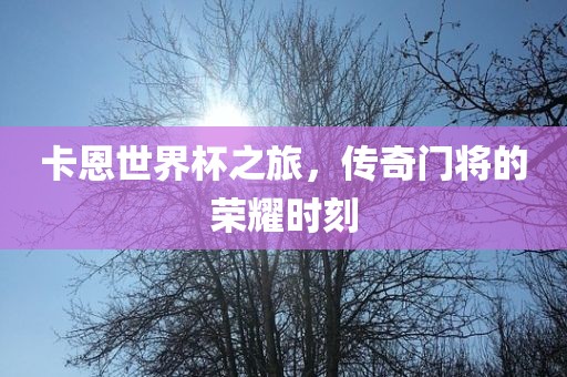卡恩世界杯之旅，传奇门将的荣耀时刻漯河市盈旭机械设备有限公司