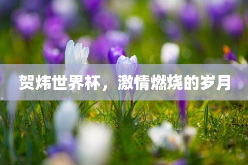 漯河市盈旭机械设备有限公司贺炜世界杯，激情燃烧的岁月
