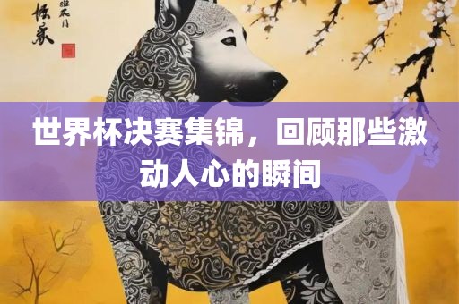 世界杯决赛集锦漯河市盈旭机械设备有限公司，回顾那些激动人心的瞬间