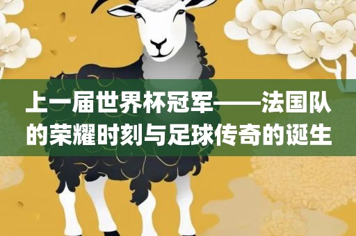上一届世界杯冠军——法国队的荣耀时刻与足球传奇的诞生漯河市盈旭机械设备有限公司