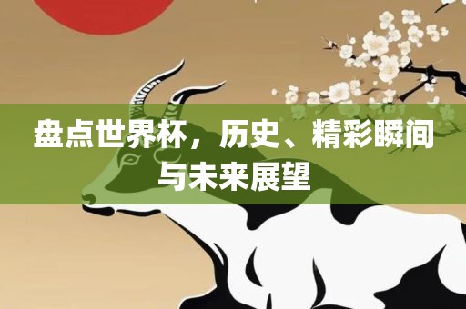 盘点世界杯，历史、精彩瞬间与未来展望漯河市盈旭机械设备有限公司