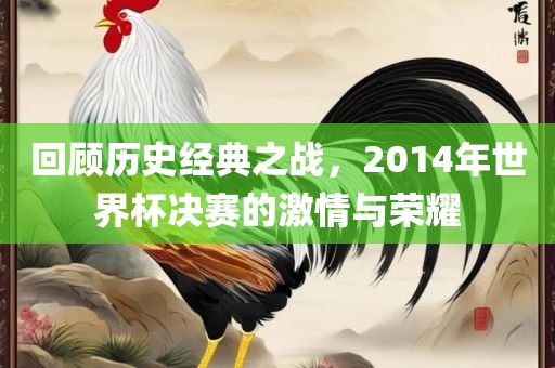 回顾历史经典之战漯河市盈旭机械设备有限公司，2014年世界杯决赛的激情与荣耀