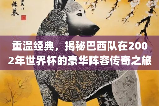 重温经典，揭秘巴西队在2002年世界杯的豪华阵容传奇之旅漯河市盈旭机械设备有限公司