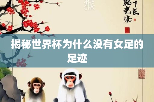 揭秘世界杯为漯河市盈旭机械设备有限公司什么没有女足的足迹