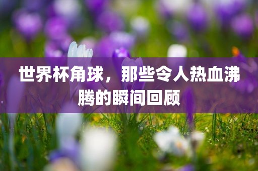 世界杯角球，那些令人热血沸腾的瞬间回顾漯河市盈旭机械设备有限公司