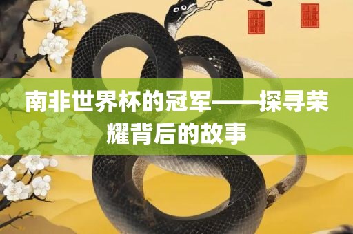 南非世界杯的冠军——探寻荣耀背后的故事