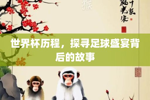 世界杯历程，探寻足球盛宴背后的故事