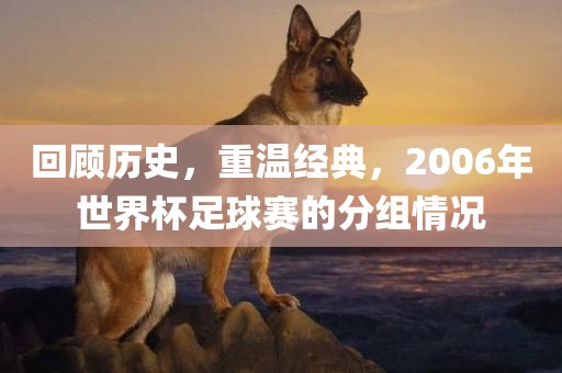 回顾历史，重温经典，2006年世界杯足球赛的分组情况漯河市盈旭机械设备有限公司