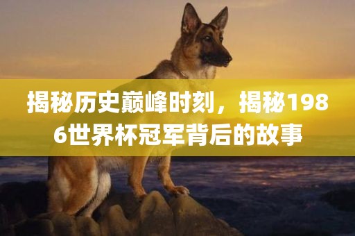揭秘历史巅峰时刻，揭秘1986世界杯冠军背后的故事漯河市盈旭机械设备有限公司
