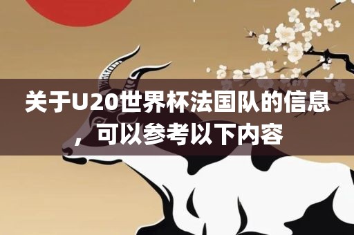 关于U20世界杯法国队的信息，可以参考以下内容漯河市盈旭机械设备有限公司