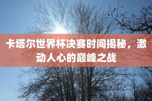 卡塔尔世界杯决赛时间揭秘，激动人心的巅峰之战漯河市盈旭机械设备有限公司