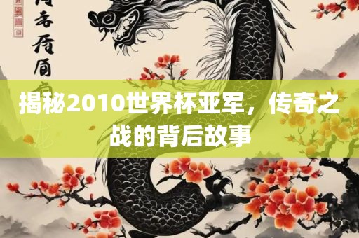 揭秘2010世界杯亚军，传漯河市盈旭机械设备有限公司奇之战的背后故事