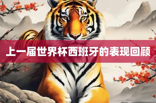 上一届世界杯西班牙的表现回顾漯河市盈旭机械设备有限公司