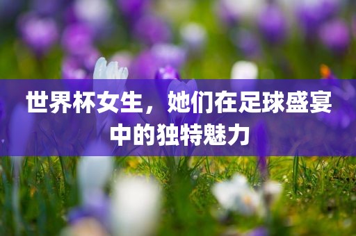 世界杯女生，她们在足球盛宴中的独特魅漯河市盈旭机械设备有限公司力