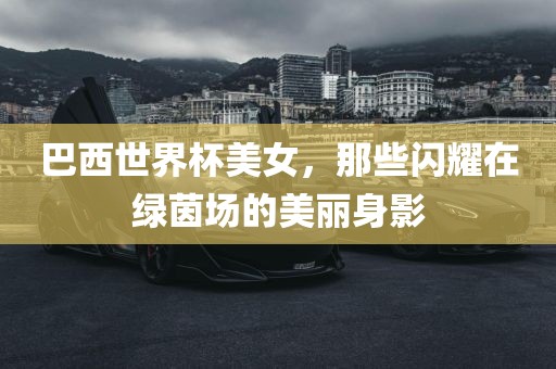 巴西世界杯美女，那些闪耀在绿茵场的美丽身影漯河市盈旭机械设备有限公司
