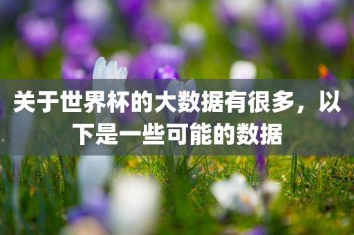 关于世界杯的大数据有很多漯河市盈旭机械设备有限公司，以下是一些可能的数据