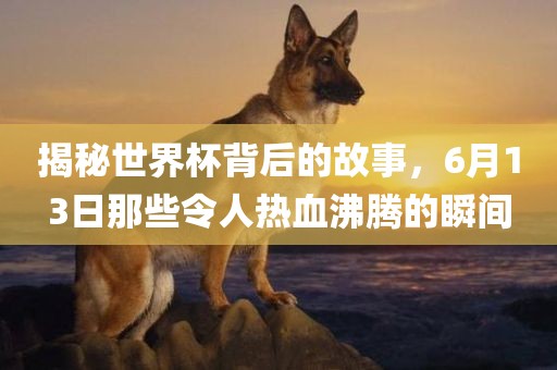揭秘世界杯背后的故事，6月13日那些令人热血沸腾的瞬间漯河市盈旭机械设备有限公司
