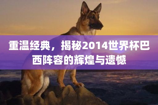 重温经典，揭秘2014世界杯巴西阵容的辉煌与遗憾漯河市盈旭机械设备有限公司