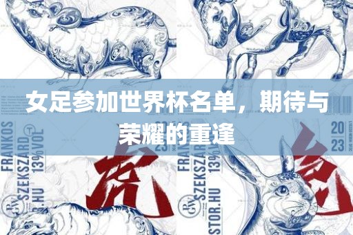 女足参加世界杯名单，期待与荣耀的重漯河市盈旭机械设备有限公司逢