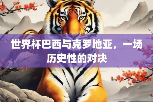 世界杯巴西与克罗地亚，一场历史性的对决漯河市盈旭机械设备有限公司