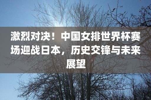 激烈对决！中国女排世界杯赛场迎战日本，历史交锋漯河市盈旭机械设备有限公司与未来展望